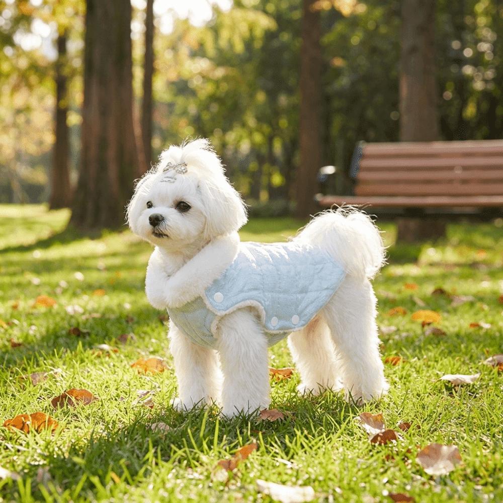 Princess Style Quilted Cotton Dog Thermal Jacket Fluffy Collar Button Style Pet Sweater Soft Warm Winter Dog Coat Indoor