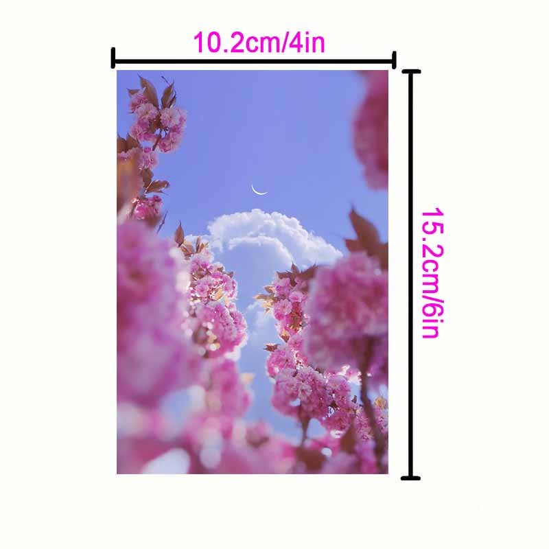 10/30PCS Colorful Flower Moon Wall Collage Kit Interior Paintings Room Study Decoration Mural DIY Decorative Posters Aesthetic