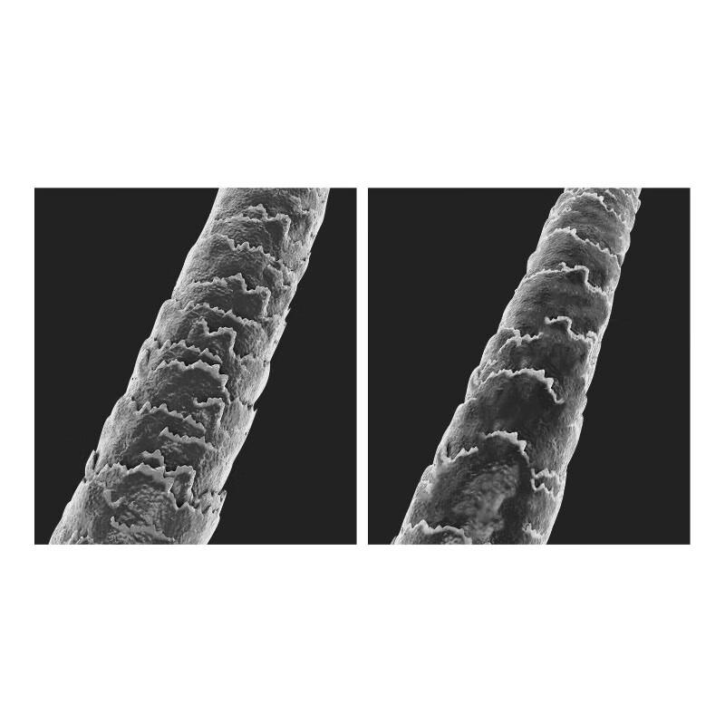 ASAKA Amino Acid Nourishing Conditioner (2-Pack)