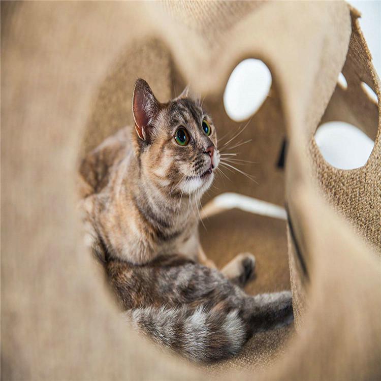 Pet Play & Bite Mat - Cat Litter & Kitten Activity Mat