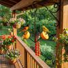 Metal Hummingbird Feeder Hanging Hook Pet Food Storage Rack Fruit Bird Feeder  Yard Porch