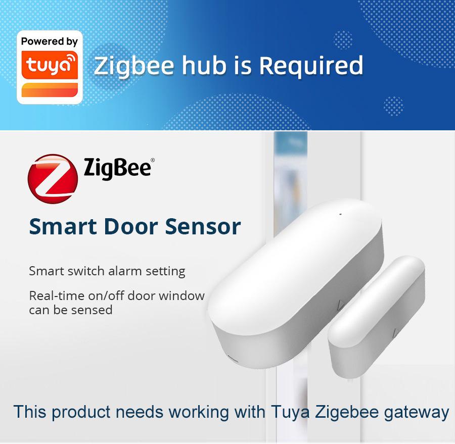 Graffiti Smart Zigbee Door/Window Magnetic Sensor with Remote Alarm & Tuya App Integration