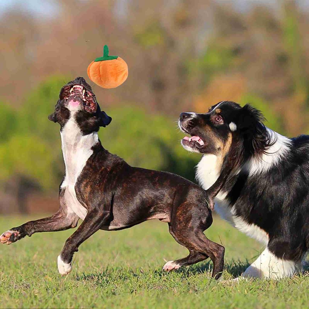 Hundeplüschtier Niedliche Kürbisform Quietschend Bissfest Gefülltes Hundeplüschtier zum Zähneknirschen