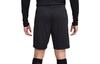 Nike Sports Shorts Men's Black Moderate FB6339-011