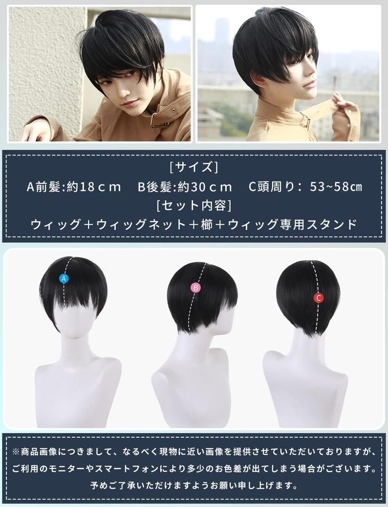 Next-generation Wig for Men, Short, Stylish, Natural-looking Hair, Heat-resistant, with Stand, Comb, and Net (black, AG01)