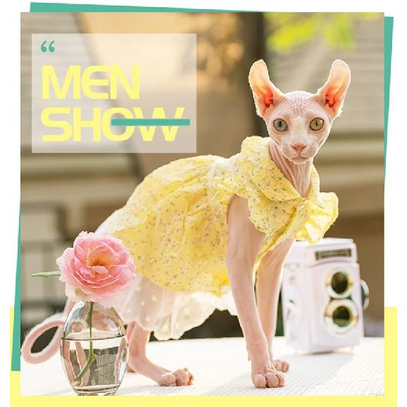 Sphinx Pet Cat Princess Clothes Black Dresses For Sphynx Lace Floral Kitten Suspender Skirt Elegant Costume Devon Spring Summer