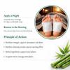 Detox Foot Patches for Weight Loss & Toxin Removal | Natural Ginger Herbal Foot Pads for Deep Cleansing & Body Detox | Foot Patch for Pain Relief