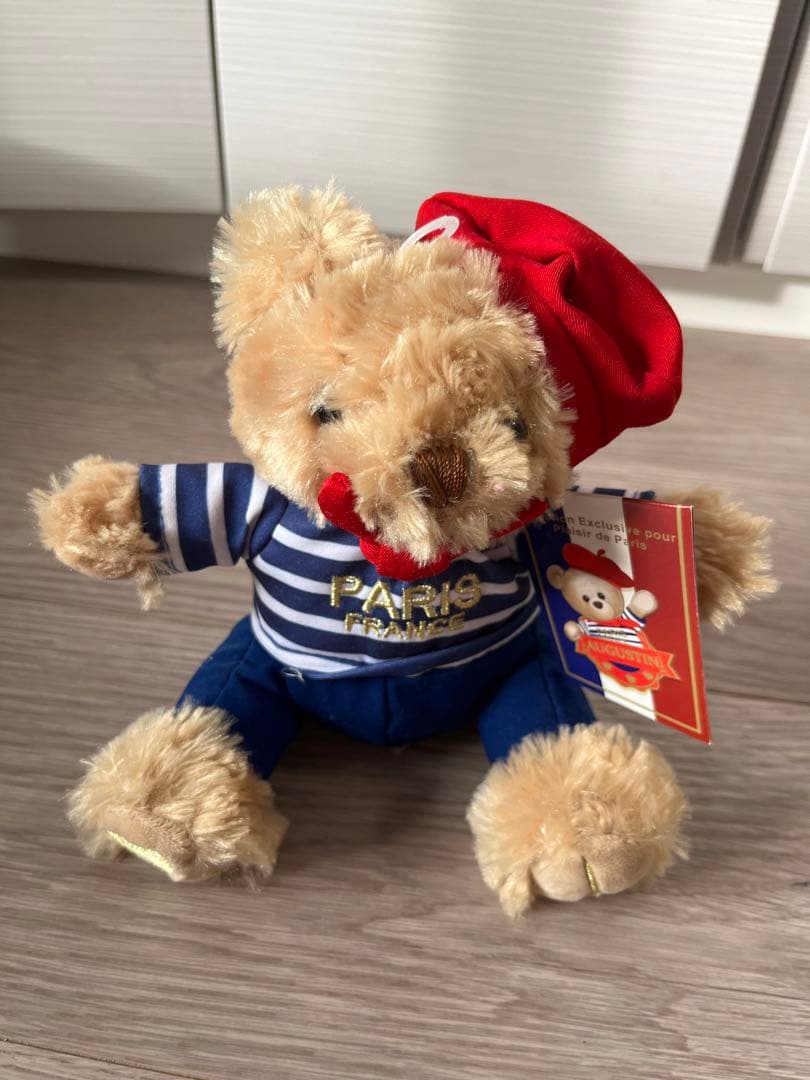 

[USED] Teddy bear purchased in Paris