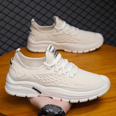 Men's Shoes Spring New Breathable Thin Mesh Fly-woven Mesh Shoes Platform Casual Trendy with Men's Sports Trendy Shoes