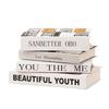 Luxury Decorative Fake Books: English Book Models for Photography and Home Decor