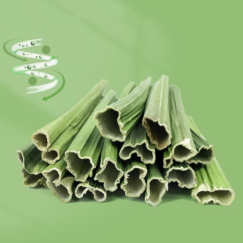 Rabbit Chew Toy For Teeth Hamsters Chew Stick Small Animal Chew Stick  Papayas Molar Stick For Rabbit Hamsters Chew Toy