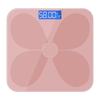 Brangdy Smart Body Scale (CN Version)