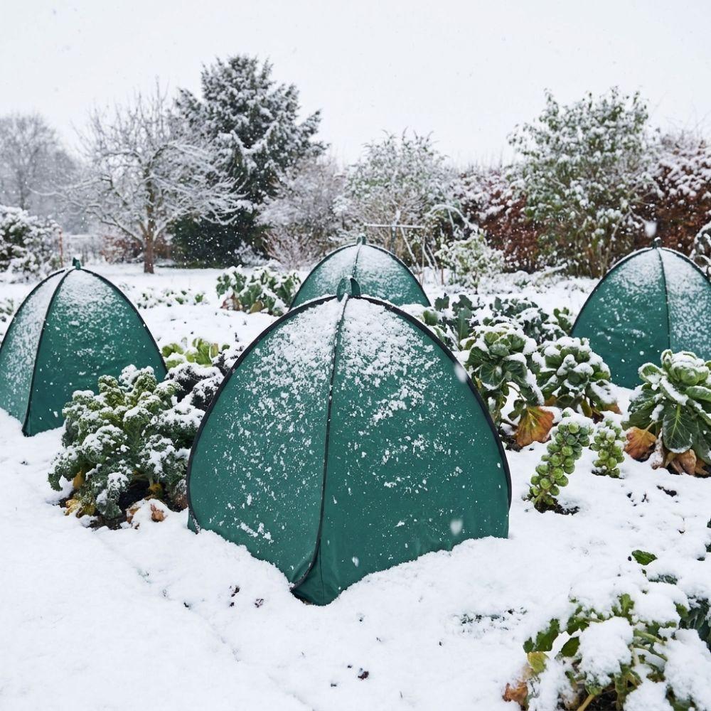 Windproof Winter Plant Cover Folding Insulated Shrub Cover Plant Protection Cover Outdoor