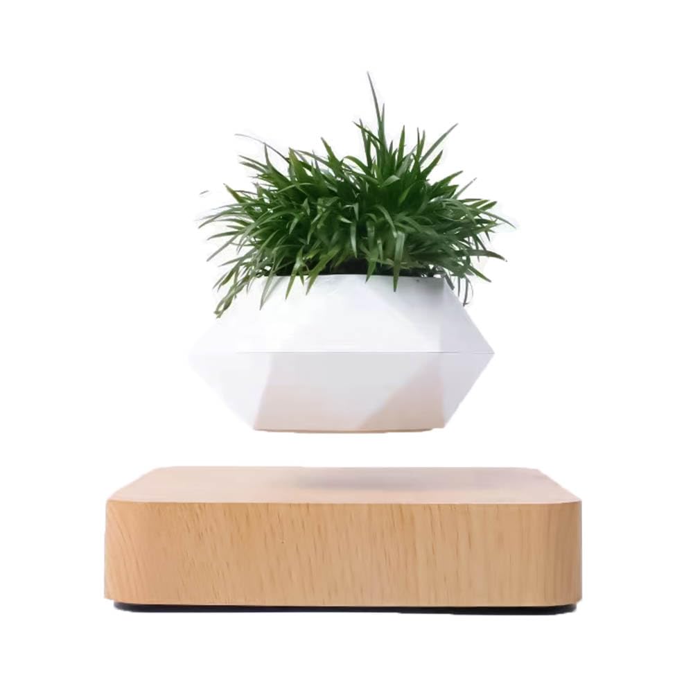 FGY Floating Bonsai Planter, Houseplant, Magnetic Levitation, Potted Plant, Decorative Wood Grain, Floating Interior (Oak)