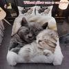 Cute Plush Pet Cats 3D Printed Bedding Set Simple Pet Cat Style Luxury Duvet Cover Soft Comfortable Home Polyester Quilt Cover