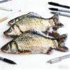 Fischförmige Federmäppchen Weiches Stoff-Federmäppchen Große Kapazität Stifte-Organizer Für Schule Büro Reisen und Täglich