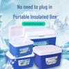 Portable Insulated Refrigerator Box for Car, Home, or Outdoor Use - Small/Medium Size for Fresh Cold Storage.