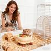 Hamster Water Dish Ceramic Non-Slip Pet Bath Container Small Animals Bathing Bowl For Gerbils Mice Degus Ferrets Squirrels