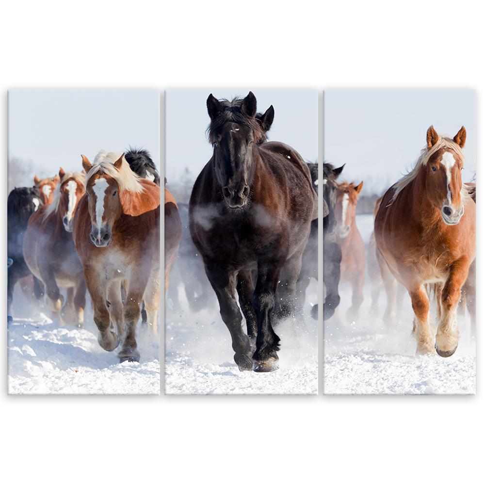 Three piece picture canvas print Horses at a gallop Winter