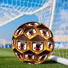 Japan Football Association Emblem Size 5 Soccer Ball, Suitable for Training and Matches, High-Elasticity, Wear-Resistant Material Gift for Fan