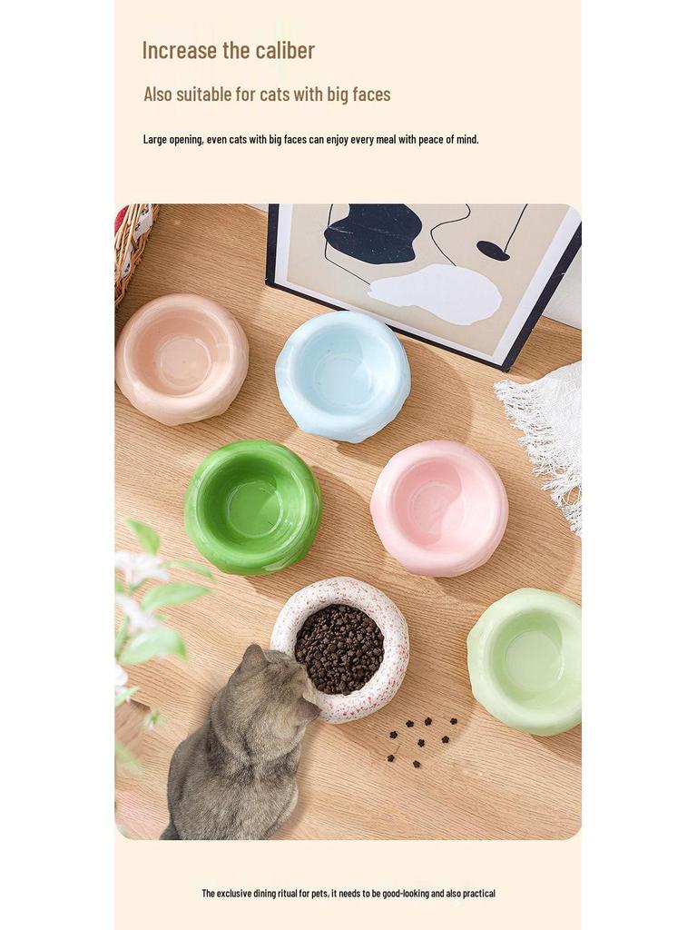 Ceramic Cat & Dog Anti-Tip Food Bowl With High-Leg Design