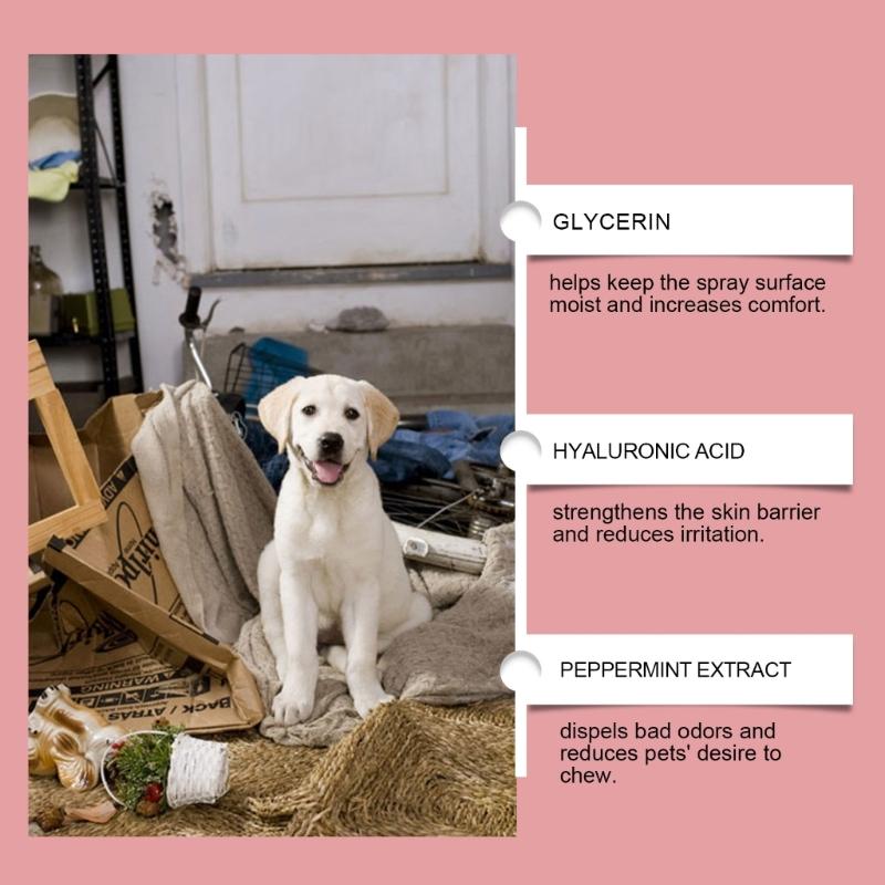 2 Bottle 100ml AntiChew Dog Sprayer Bitter  Solution for Stopping Pet from Chewing on Furniture and Household Items