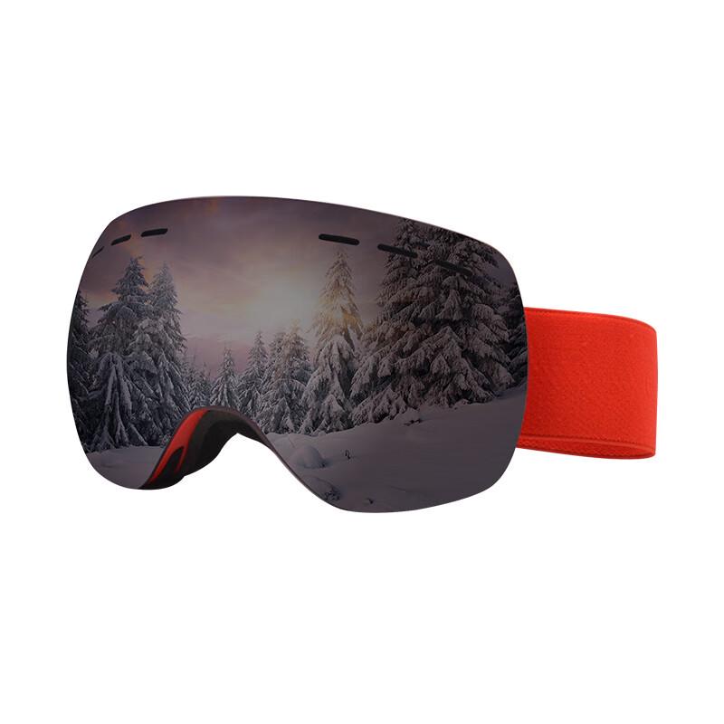 Snow Power Double-Layer Anti-Fog Ski Goggles