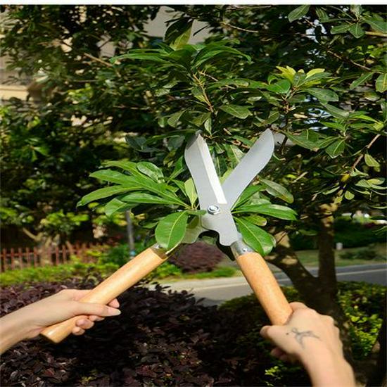 Verlängerte Gartenschere: Scharfe Gartenschere für Blumen, Gras und Äste