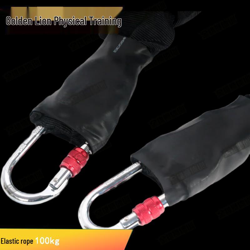 Golden Lion Aerial Yoga Bungee Resistance Rope