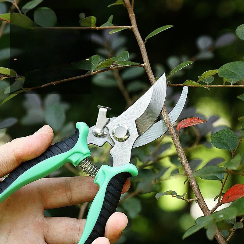 Garden Scissors for Bonsai Branch Floral Pruner Professional Pruning Trees Pruning Gadgets Agricultural Farm Hand Tools