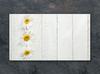 PLANCHE À DÉCOUPER EN VERRE 52x30 BOIS