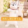 Stylish Soda Plush Dog Body Pillow, Shiba Inu, My Kotaro (Shiba Inu, 80cm)