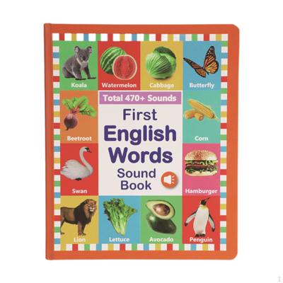 English Words Sound Book, Learning, Kids Point Reading Touch Vocabulary Studying Interactive