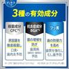 Pyuora Medicinal Toothpaste Clean Mint 170g X 2 + Tooth Powder Included Quasi-Drug