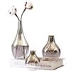 2025 New Brand Nordic Glass Vase Creative Silver Gradient Dried Insert Desktop Terrarium Jewelry Decoration Plant Holder