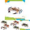 Marine Life Crab Replica With Static Display For Home Or Office Use
