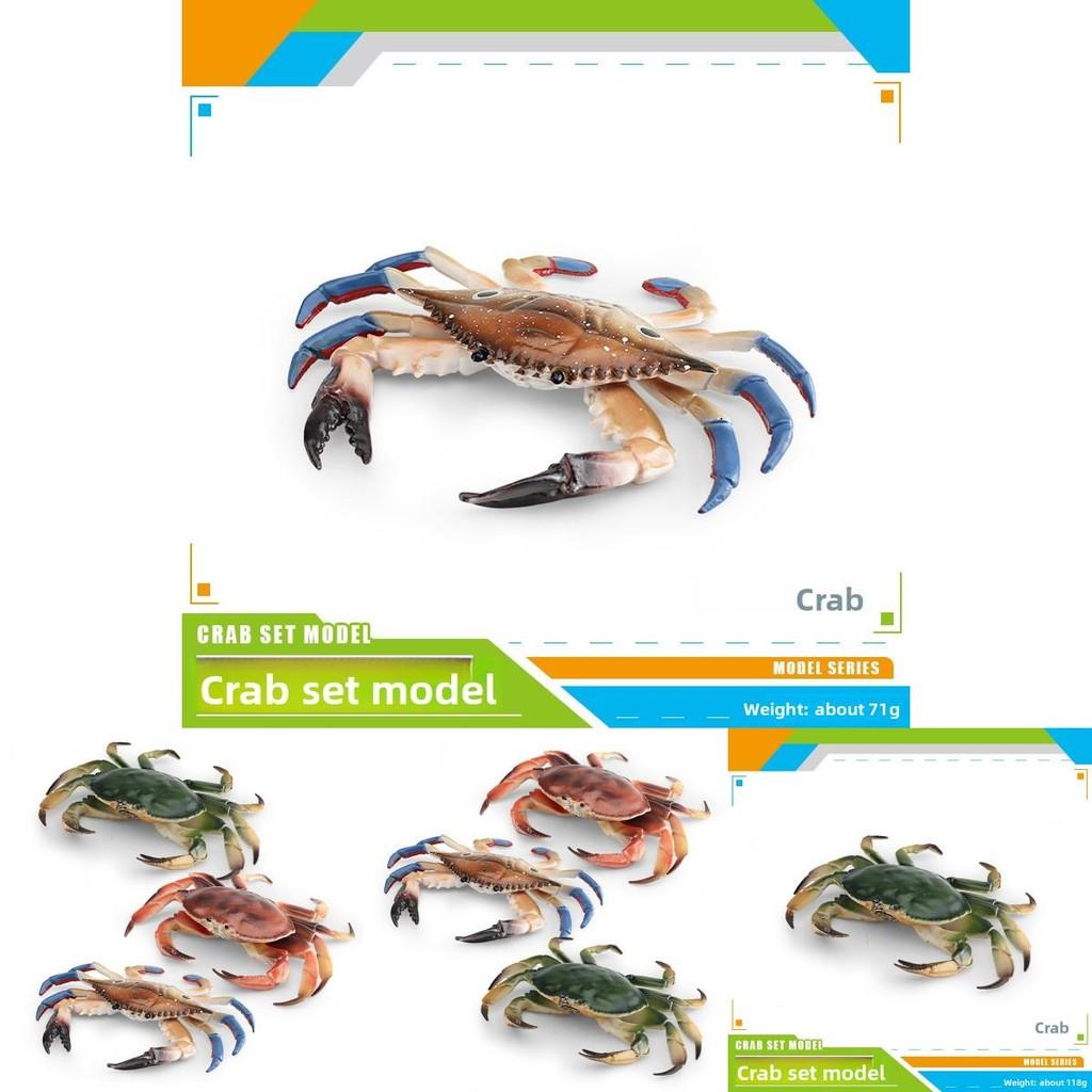 Marine Life Crab Replica With Static Display For Home Or Office Use