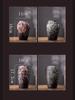 Chinese Vintage Clay Pot Vase Creative Hydroponic Flower Arrangement Living Room Bookcase Dining Table Floral Vase Home Ornament