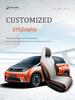 2022 BYD Dolphin Car Seat Cover: Universal Leather, Four Seasons, Full Surround Cushion