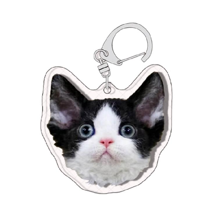 Cartoon Cat Pendant Lovely Animal Shaped Keychain Acrylic Keyring Bag Ornament
