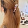 Neue Haarnadel mit luxuriösen farbigen Strasssteinen, Pferdeschwanz-Klammer, elegantes und raffiniertes Haaraccessoire, Haarspange