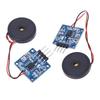 2 Stück Piezoelektrischer Vibrations-Tipp-Sensor-Modul AD DO Ausgang Einstellbare Empfindlichkeit Vibrationsschalter-Modul