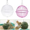 Hanging Chicken Feeder Hamster Rabbit Treat Ball Vegetable String Ball Poultry Fruit Holder with Adjustable Height Stainless Steel Chain Easy Assembly