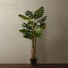 Nordic Large Tropical Faux Plant for Indoor Decor