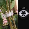 Retaining Clips Reusable Protection Grafting Supports Clamping Tools Plastic Gardening Supplies Greenhouse Vegetable