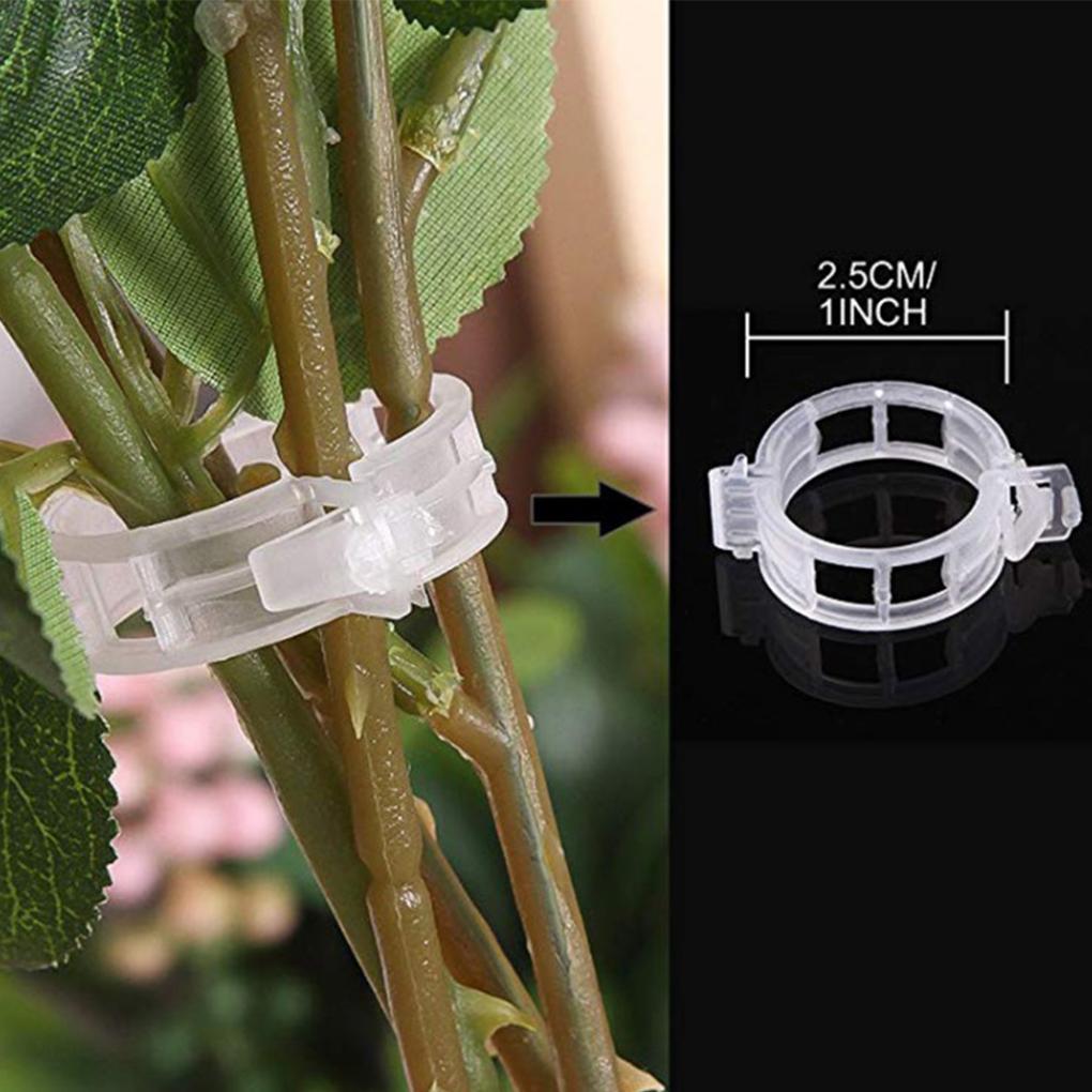 Retaining Clips Reusable Protection Grafting Supports Clamping Tools Plastic Gardening Supplies Greenhouse Vegetable
