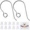 Beebeecraft 1 Box 20Pcs Pure Titanium Earring Fish Hooks Silver Earring Hooks for DIY Jewelry Making (21 Gauge)