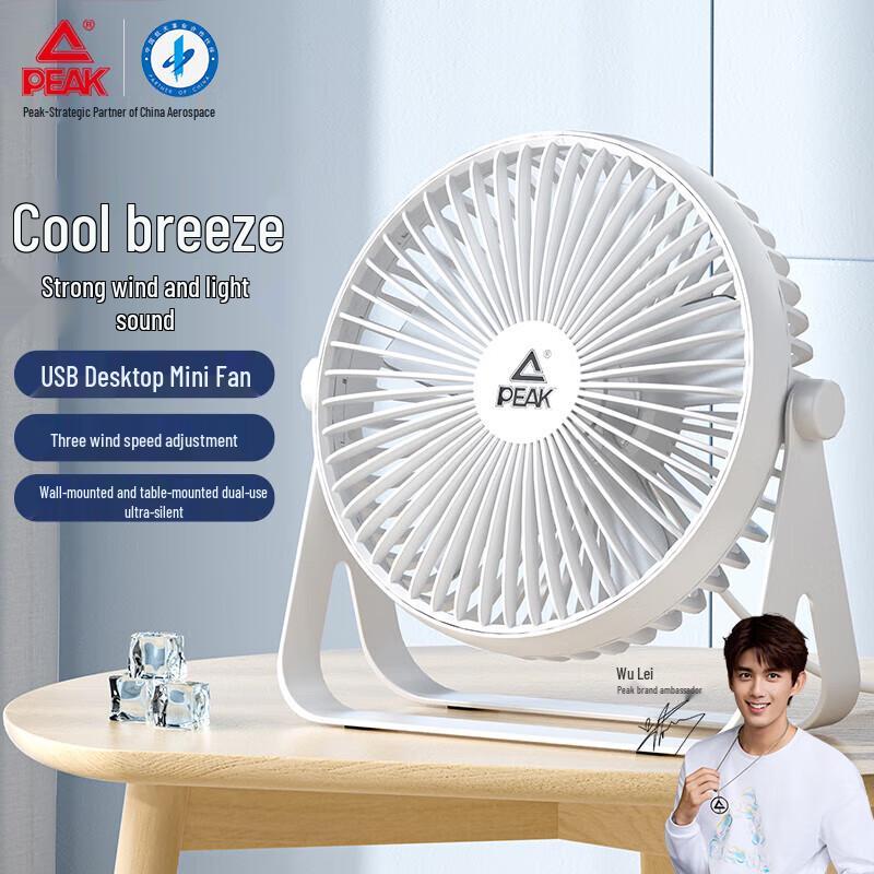 PEAK 6-inch Desktop USB Fan