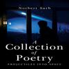 A Collection of Poetry Projectiles Into Space by Norbert Surb Paperback Book 9781804392577