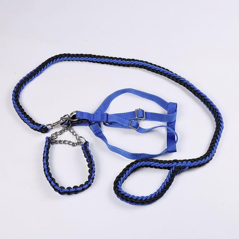 

Factory Wholesale Dog Hand Holding Rope Adjustable Dog Leash Medium Large Dog Bite-Resistant Explosion-Proof Dog Rope Pet Supplies Medium-Applicable within 20.00kg BLUE BLACK